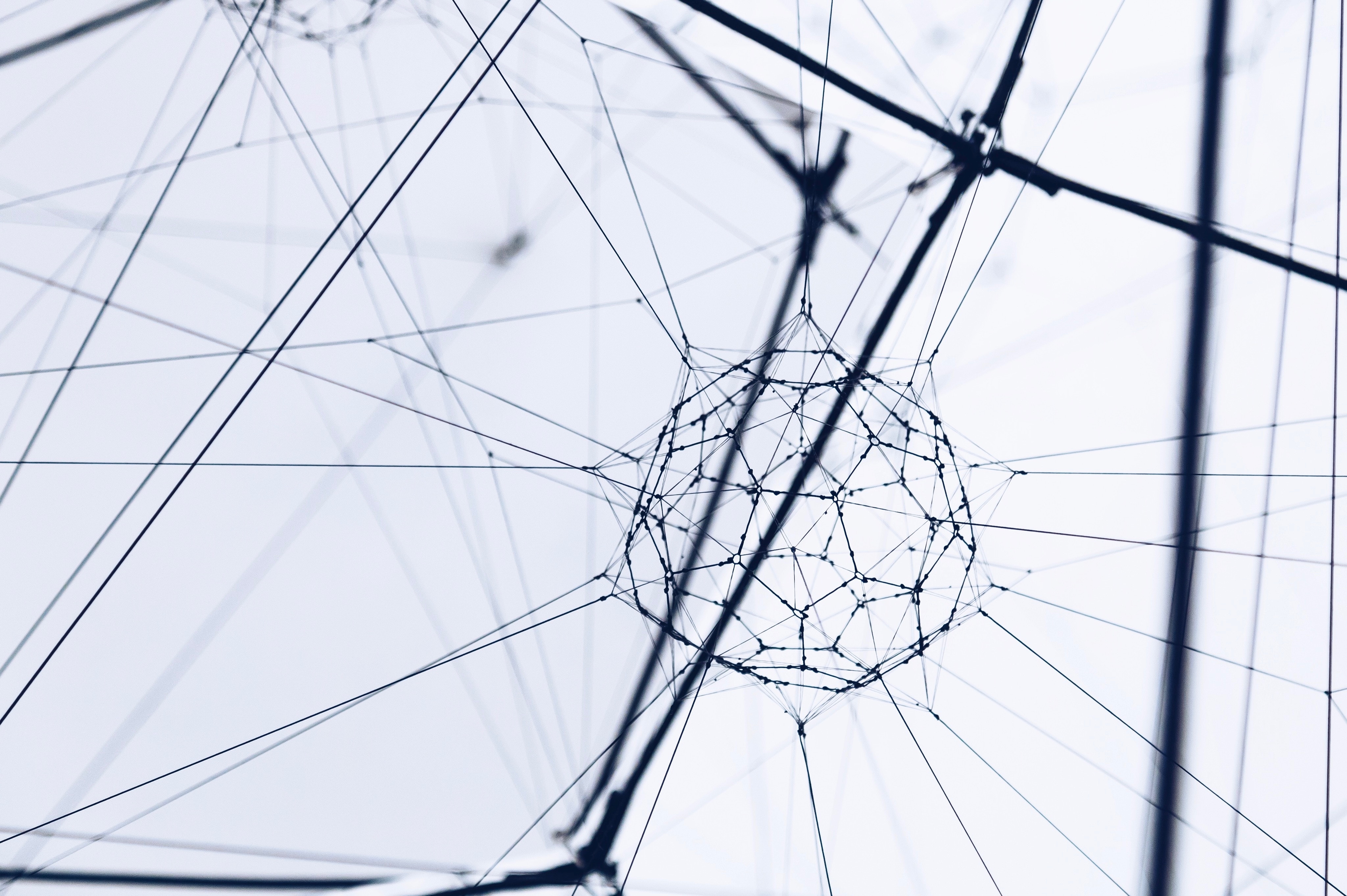 services 3d web